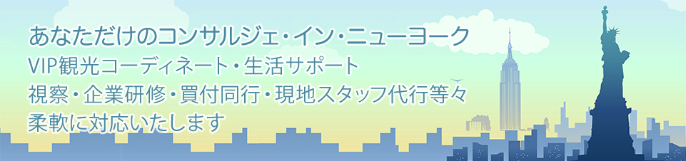 あなただけのコンサルジェ・イン・ニューヨーク