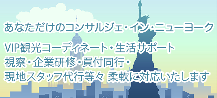 あなただけのコンサルジェ・イン・ニューヨーク