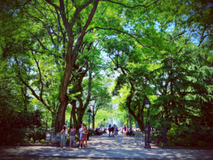 washington_square_park_entrance