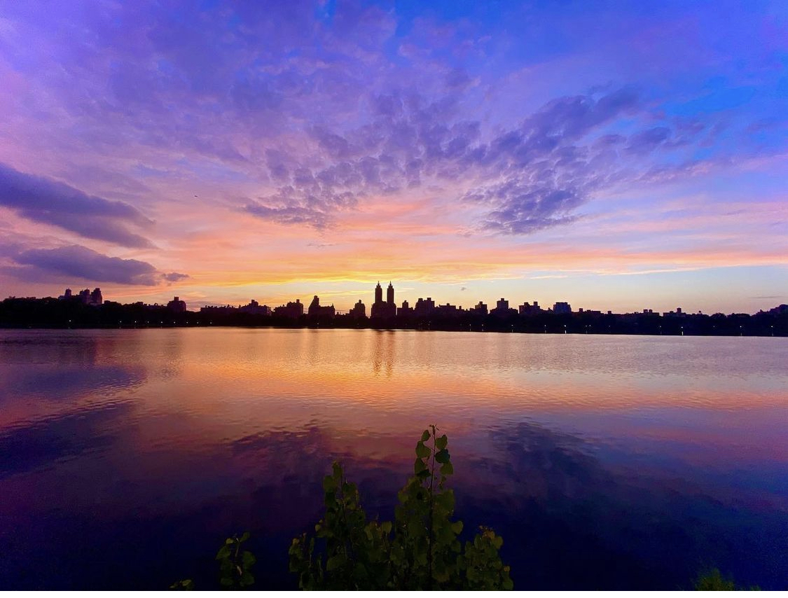 【ハイエンド最上級プロモデル】DC Travis Rice 2015 ハイエンド最上級プロモデル】DC Travis Rice 2015 Travis Rice In