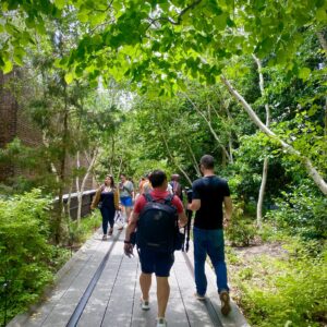 【NYの空中庭園】ハイラインのおすすめスポット・イベント