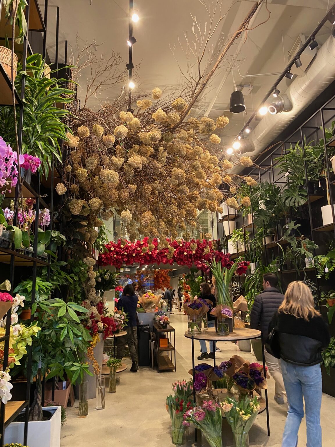 【NYお勧めカフェ】花に囲まれた魅力的なカフェ★ アリストン・フラワーズ & カフェ Ariston Flowers & Café